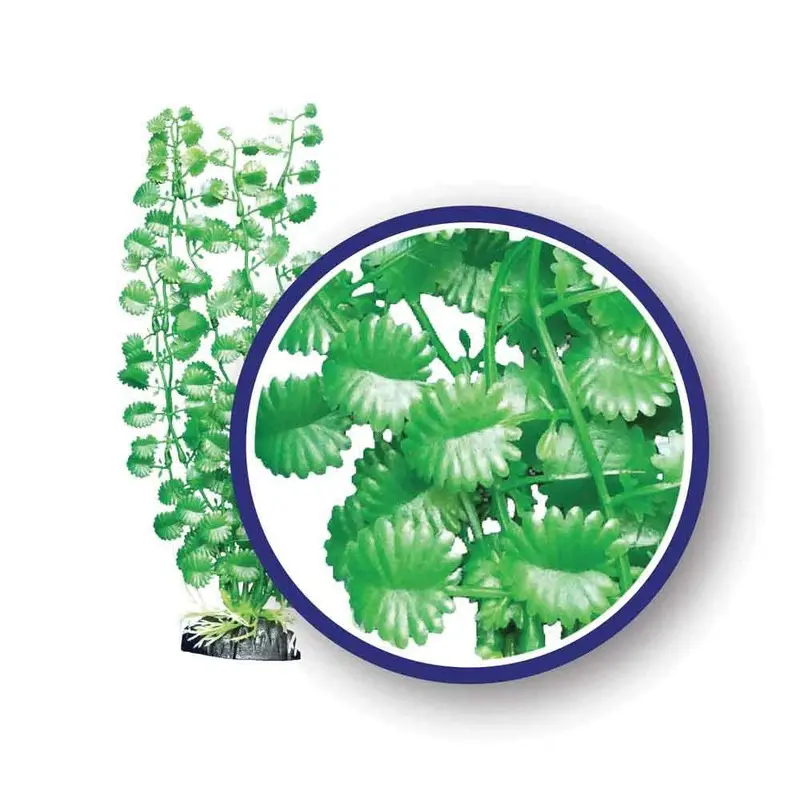 Weco Aquarium Plant - Japanese Cress - 12 in