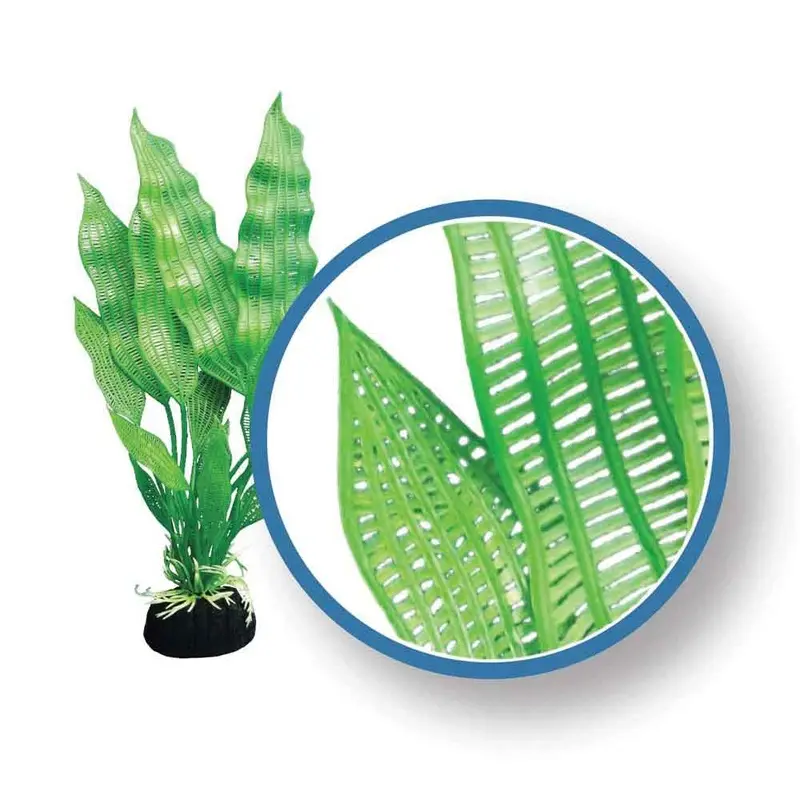 Weco Aquarium Plant - Madagascar Lace - 9 in