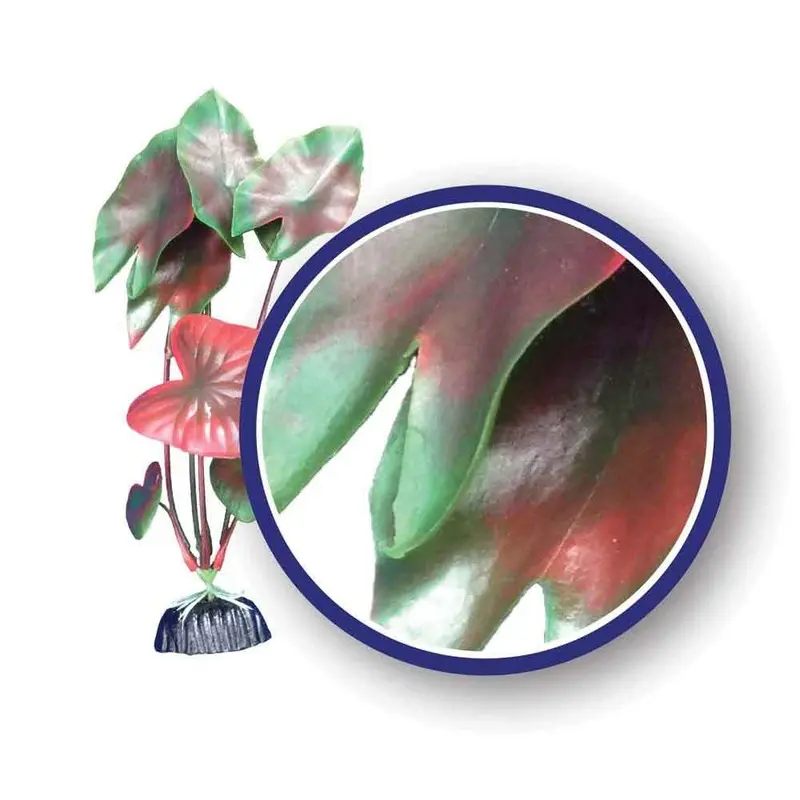 Weco Aquarium Plant - Tiger Lotus - Red - 9 in