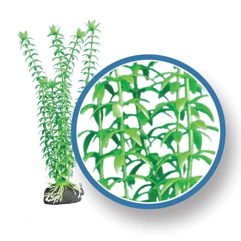 Weco Aquarium Plant - Tonina - 9 in