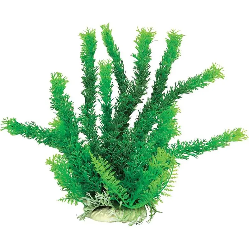 Aquatop Plant - Green Cabomba - 6 in