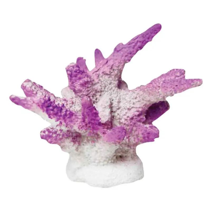 Blue Ribbon - Exotic Environments - Purple Finger Coral