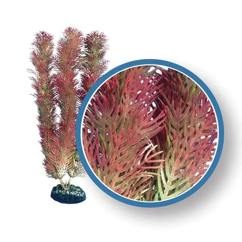 Weco Aquarium Plant - Cabomba - Red - 18 in
