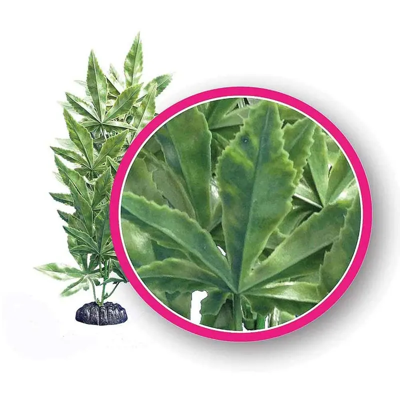 Weco Aquarium Plant - Hash - 12 in