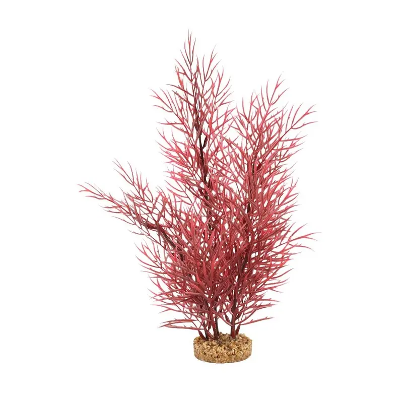 Fluval - Scarlet Eichornea 14in.