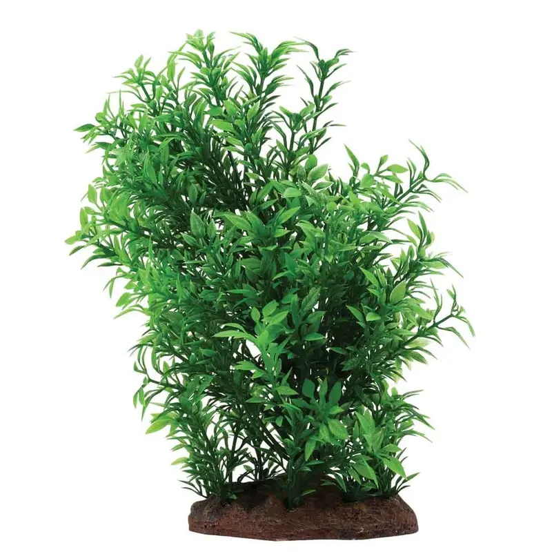 Fluval - Small Helzine Plant Set 8in.