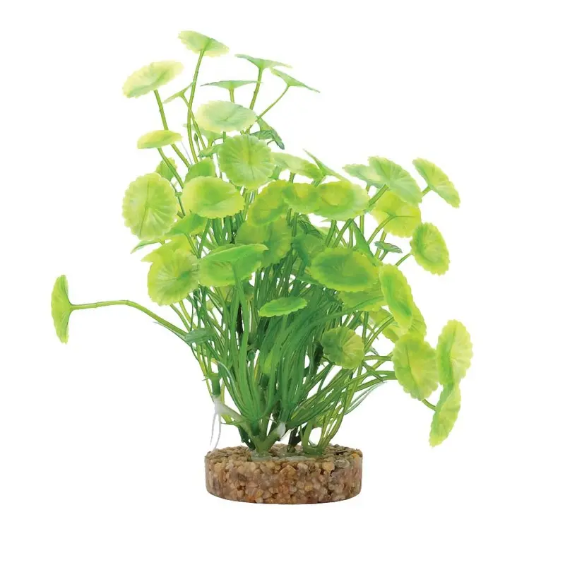 Fluval - Yellow-Green Lysimachia 8in.