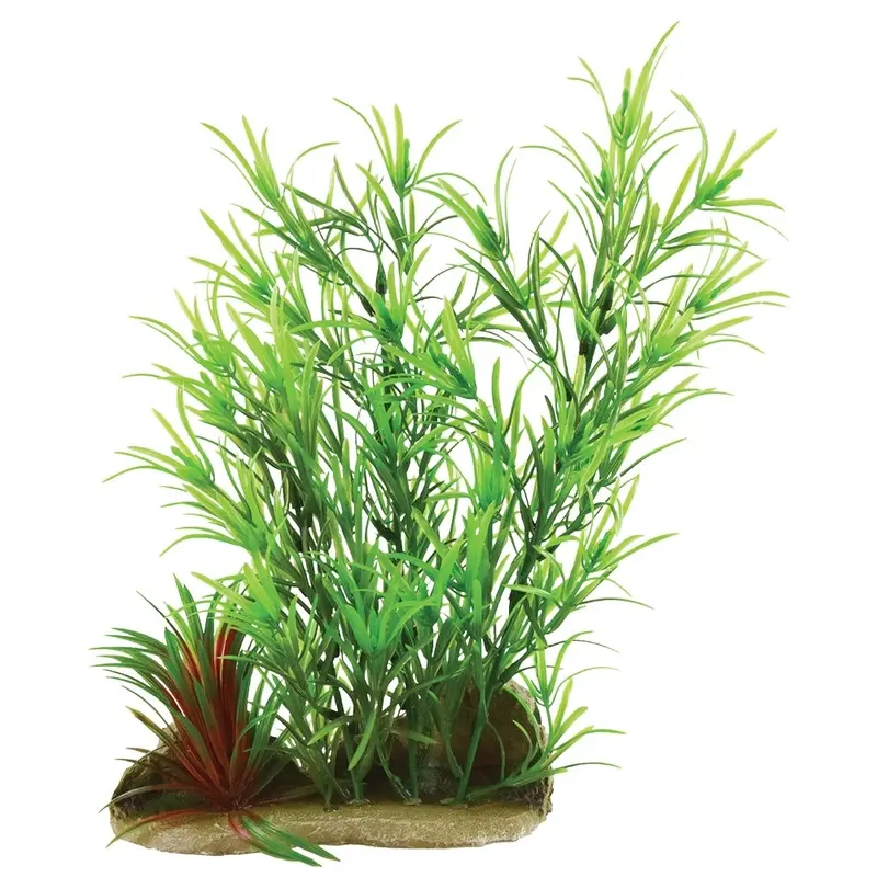 Underwater Treasures - Bamboo on Root