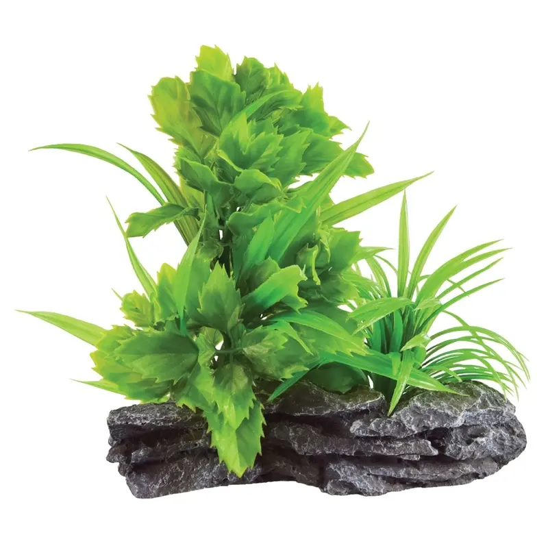Underwater Treasures - Broadleaf Mound