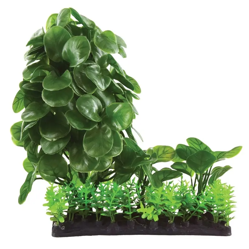Underwater Treasures - Calathea Mound