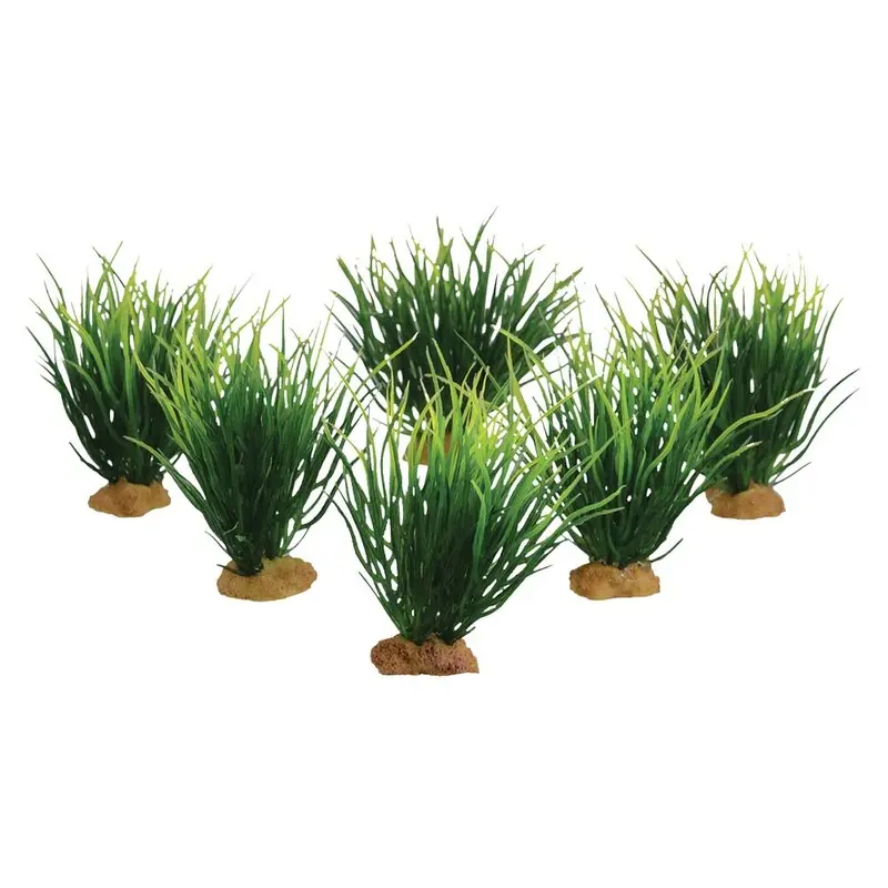 Underwater Treasures - Carp Grass - 3.5in.  - 6 pk