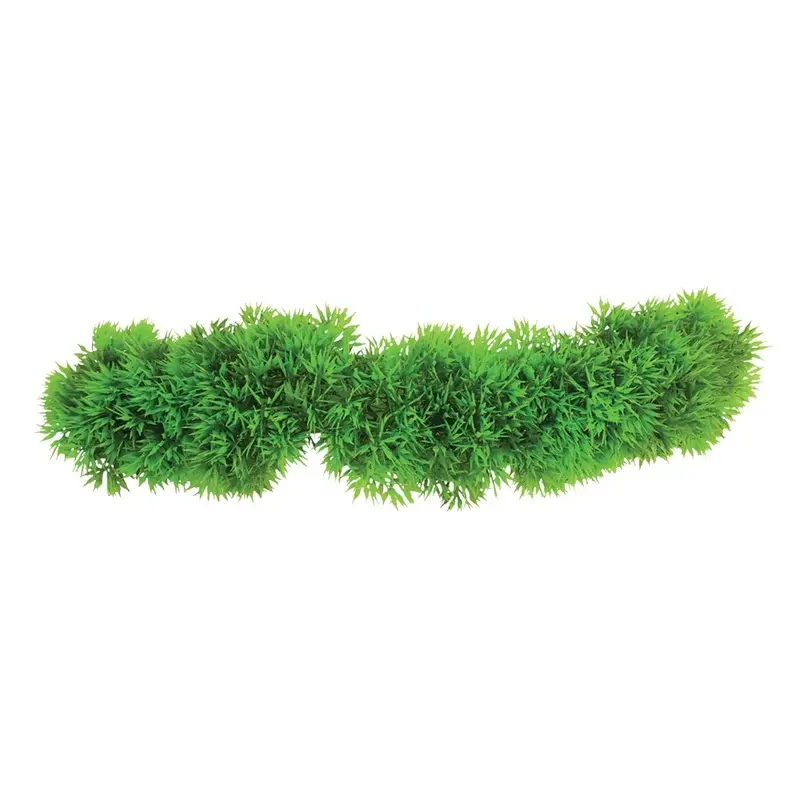 Underwater Treasures - Creeping Jenny