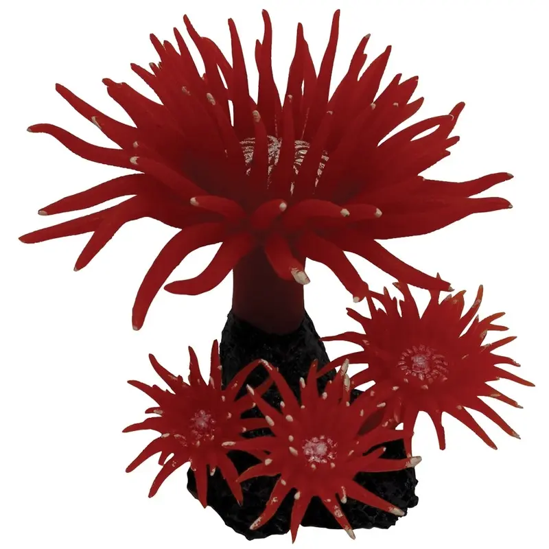 Underwater Treasures - Duncan Coral - Fire Red