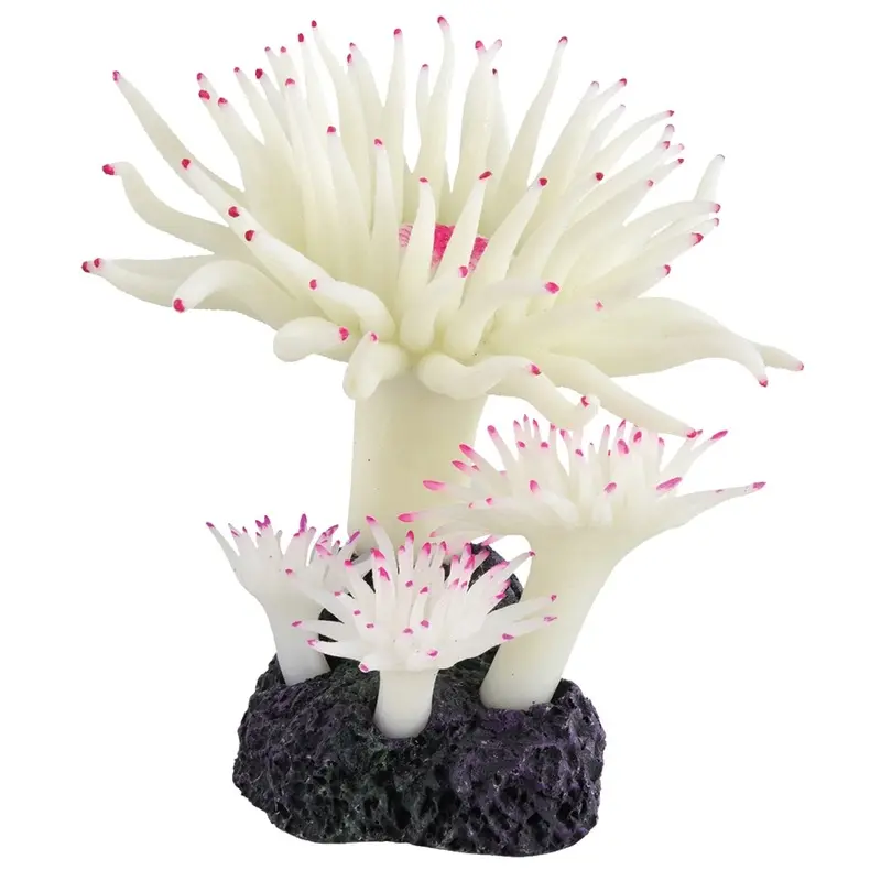 Underwater Treasures - Duncan Coral - Snow White