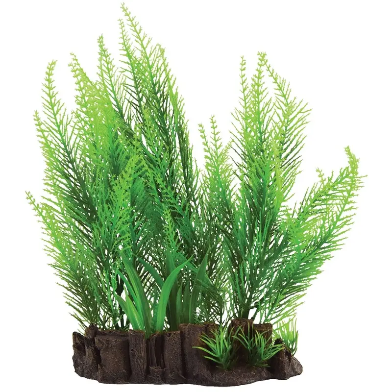 Underwater Treasures - Feather Ferns