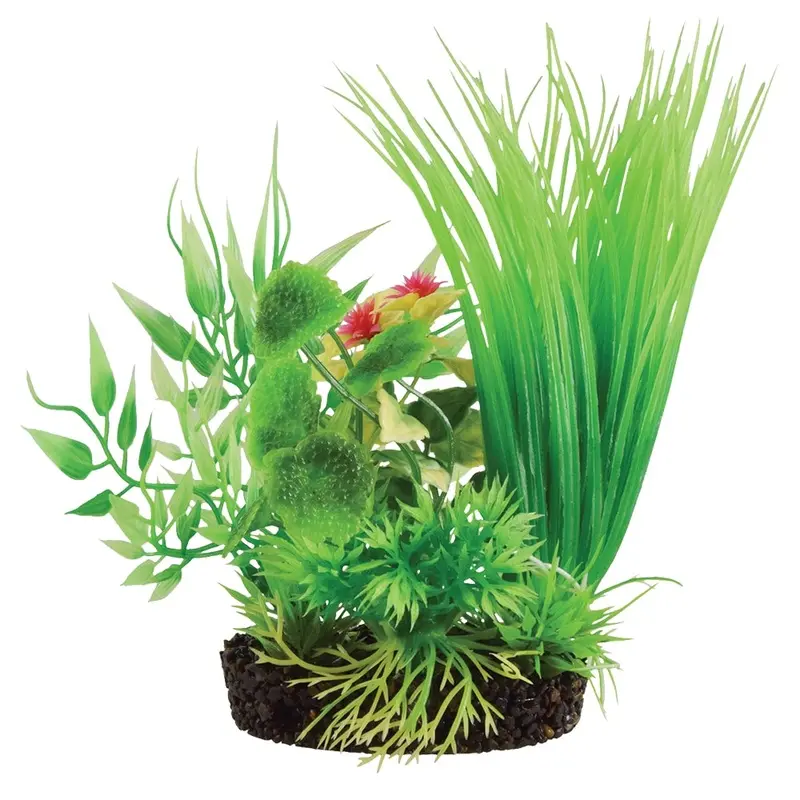 Underwater Treasures - Flower Mound