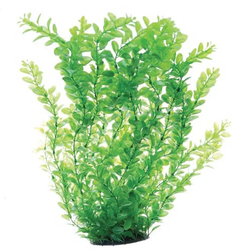 Underwater Treasures - Green Cardamine - 24in.
