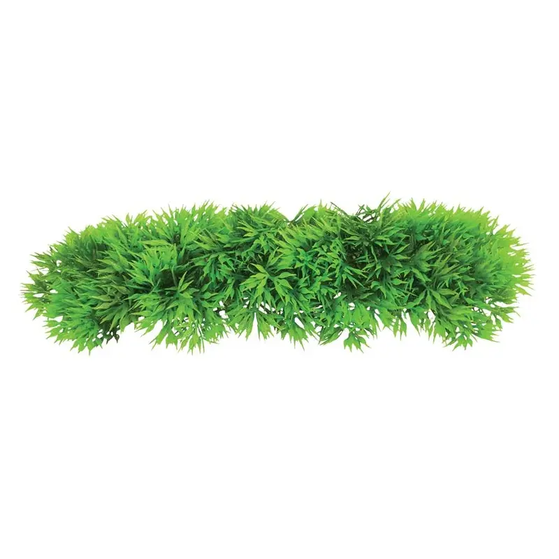 Underwater Treasures - Green Star Fern
