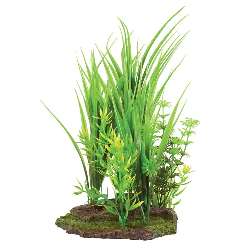 Underwater Treasures - Hairgrass Trio