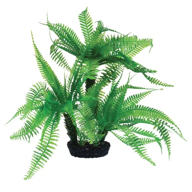 Underwater Treasures - Jurassic Fern - 10in.