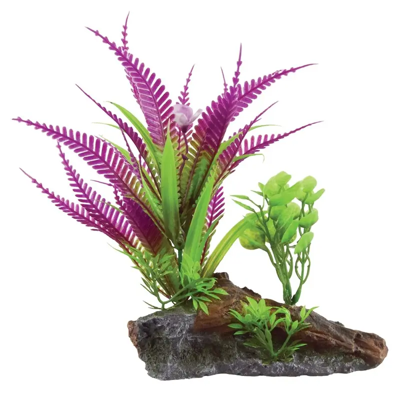 Underwater Treasures - Purple Fern on Root