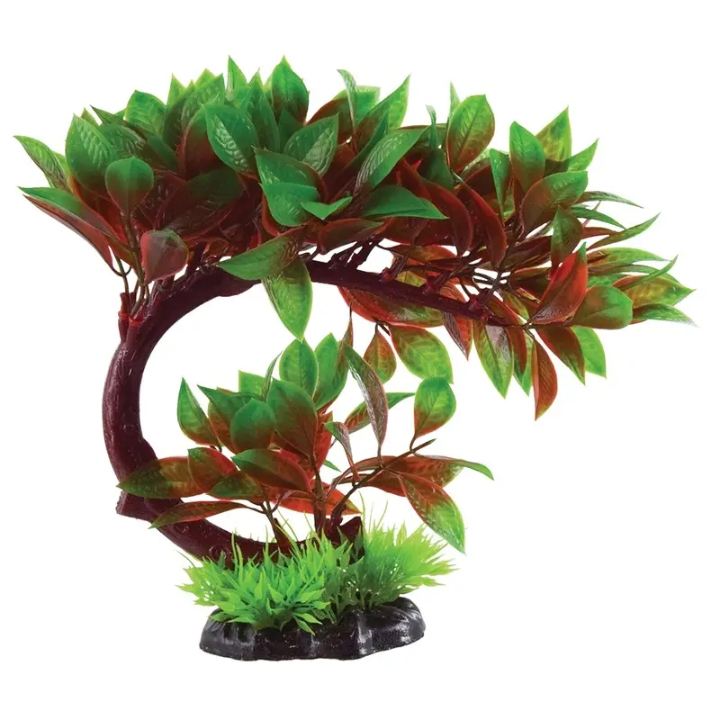 Underwater Treasures - Red Ludwigia Bonsai