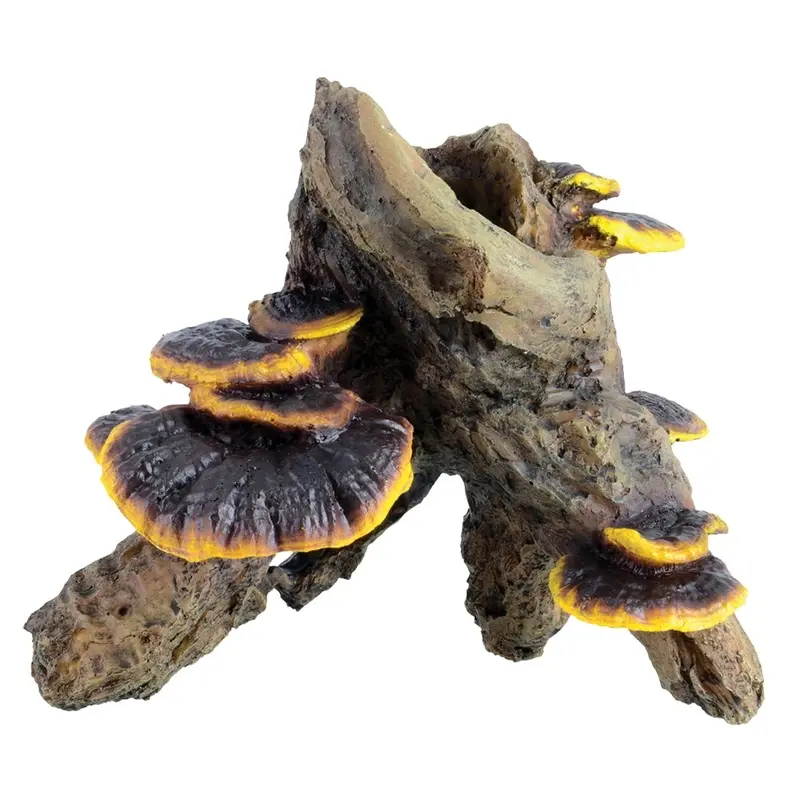 Underwater Treasures - Root w Mushroom - Md