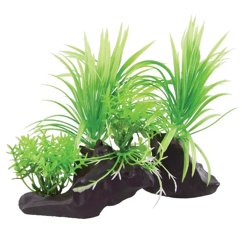 Underwater Treasures - Sagittaria Twins