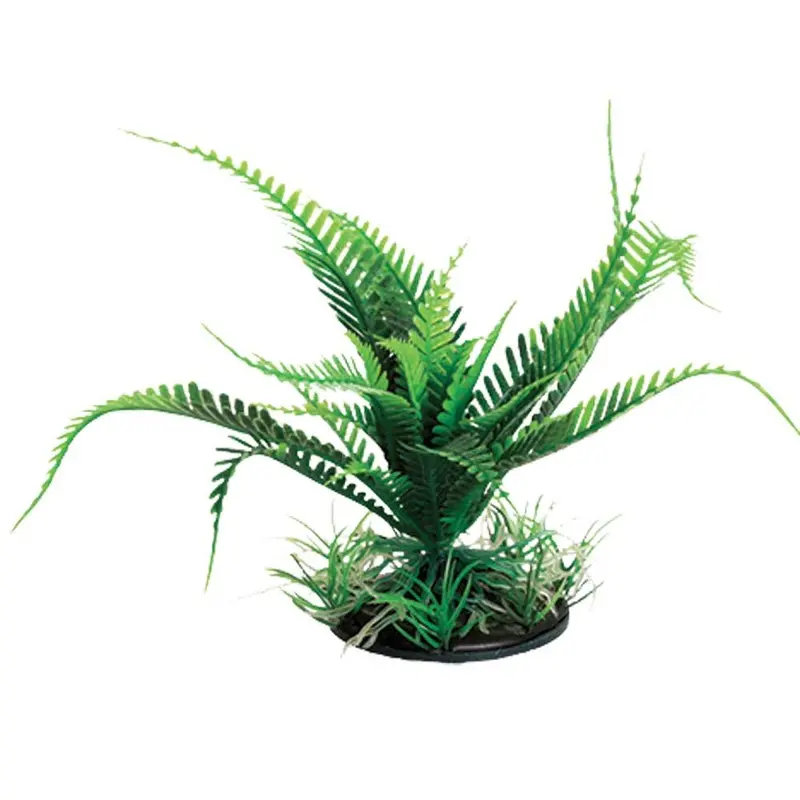 Underwater Treasures - Weeping Fern - Green - 6in.