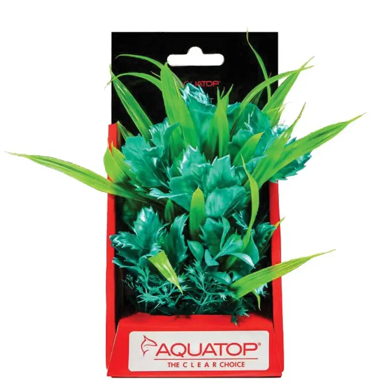 Aquatop - Passion Plant Turquoise 6in.