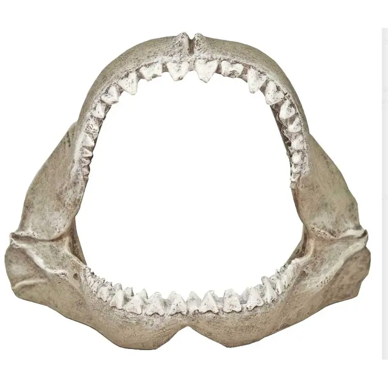 Blue Ribbon - Great White Shark Jaws - Sm