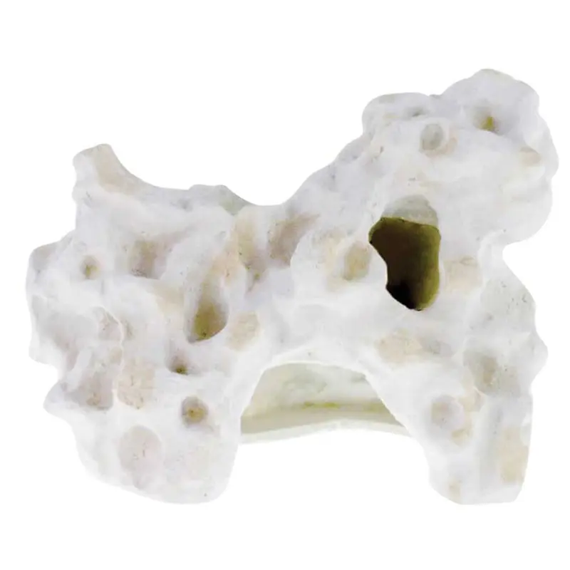 Blue Ribbon - Holey Rock Cave