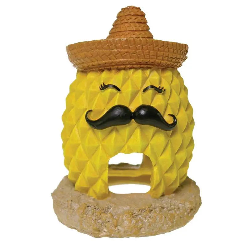 Blue Ribbon - Pineapple Sombrero