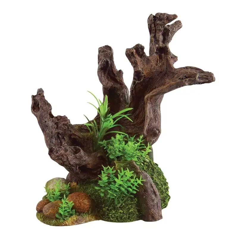 Underwater Treasures - Overgrown Stump