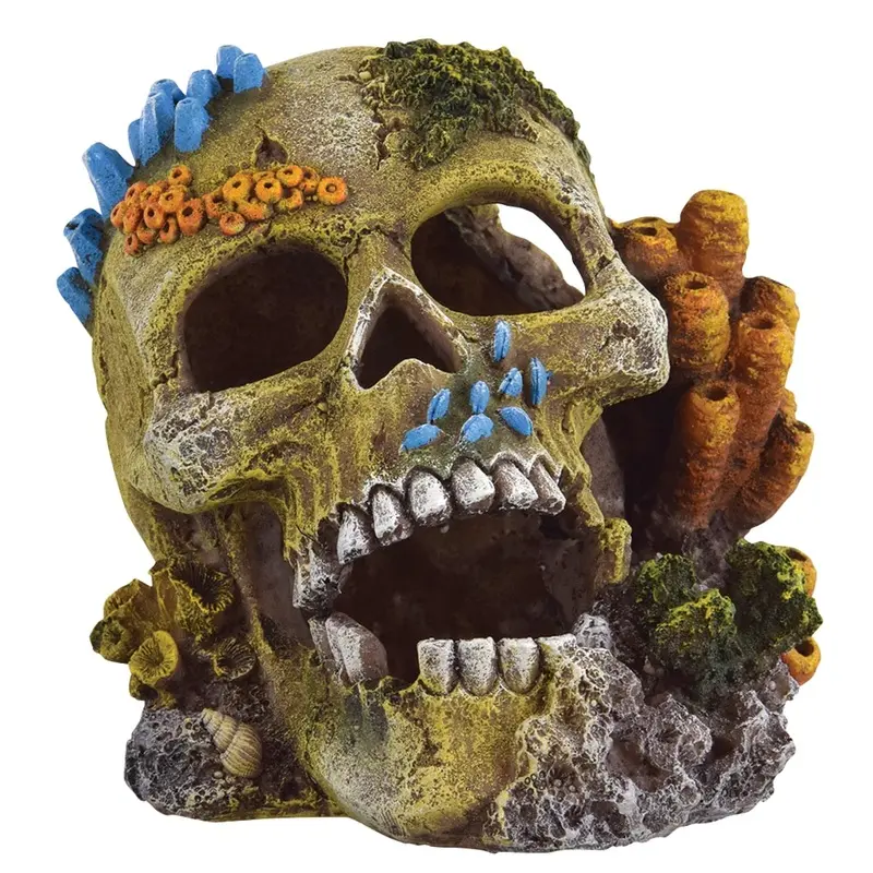Underwater Treasures - Reef Skull