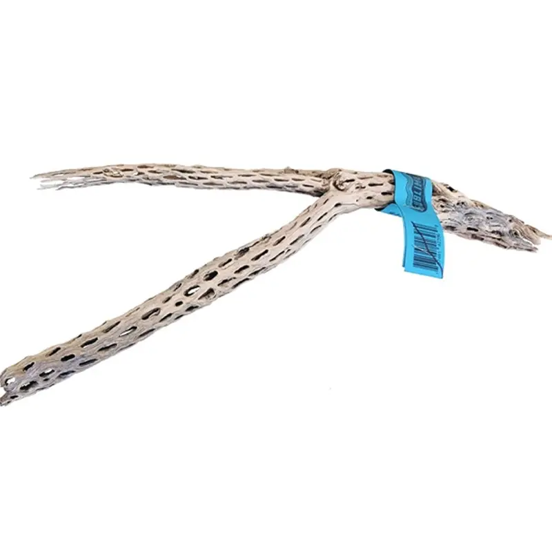 Sublime Vine - Sandblasted Cholla Wood - 12in