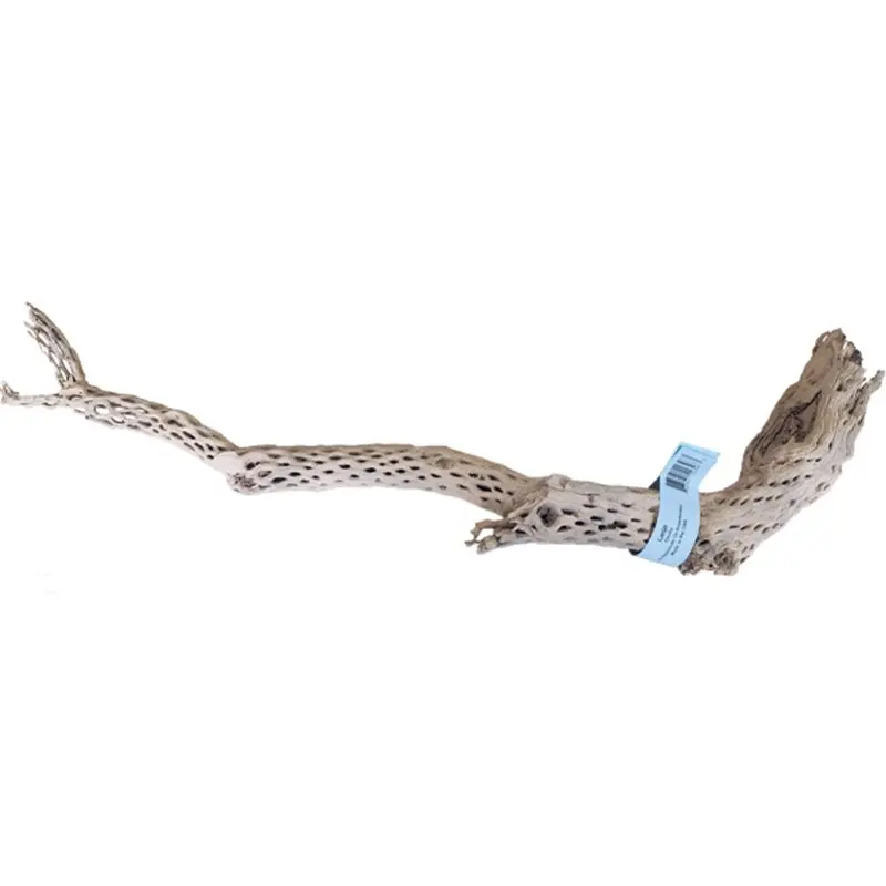 Sublime Vine - Sandblasted Cholla Wood - 24in
