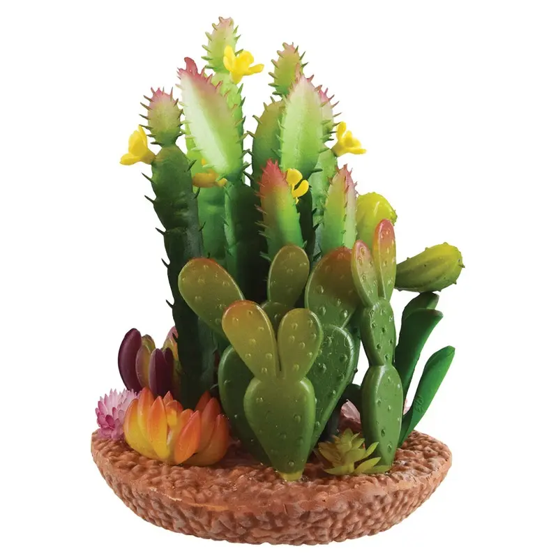 Underwater Treasures - Cactus Mix