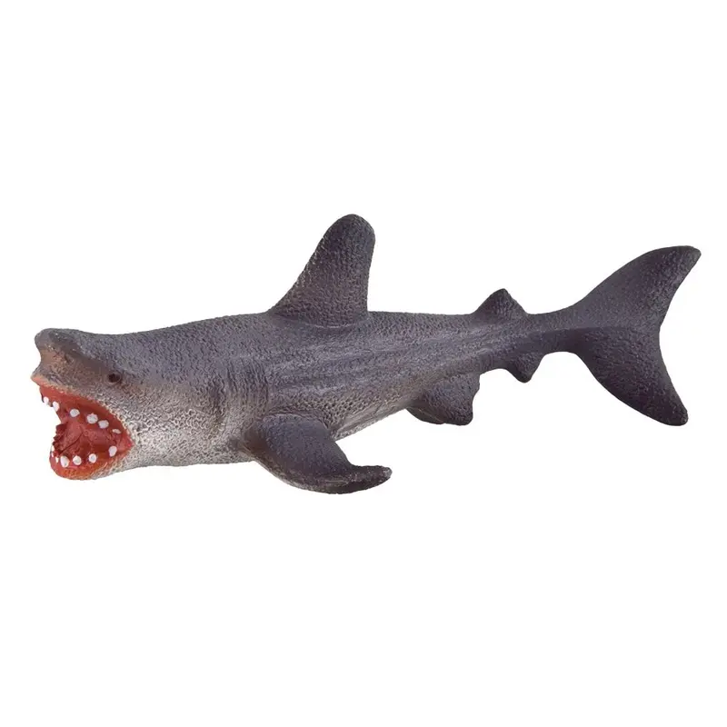 Underwater Treasures - Grey Shark