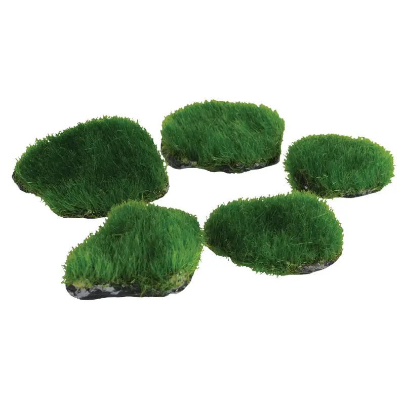 Underwater Treasures - Mini Moss Rocks - 5pk