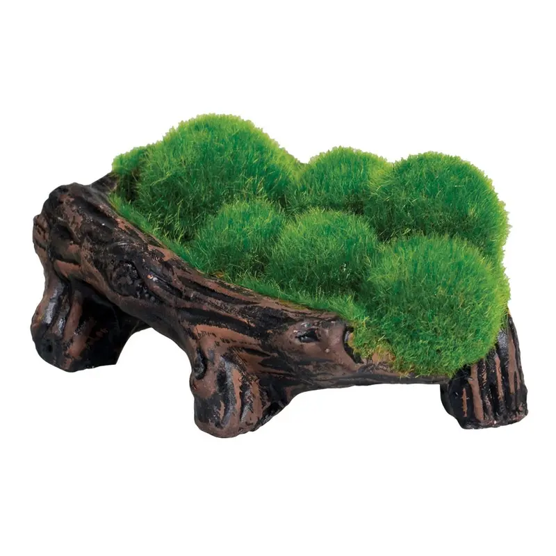 Underwater Treasures - Mossy Log Cave w Airstone