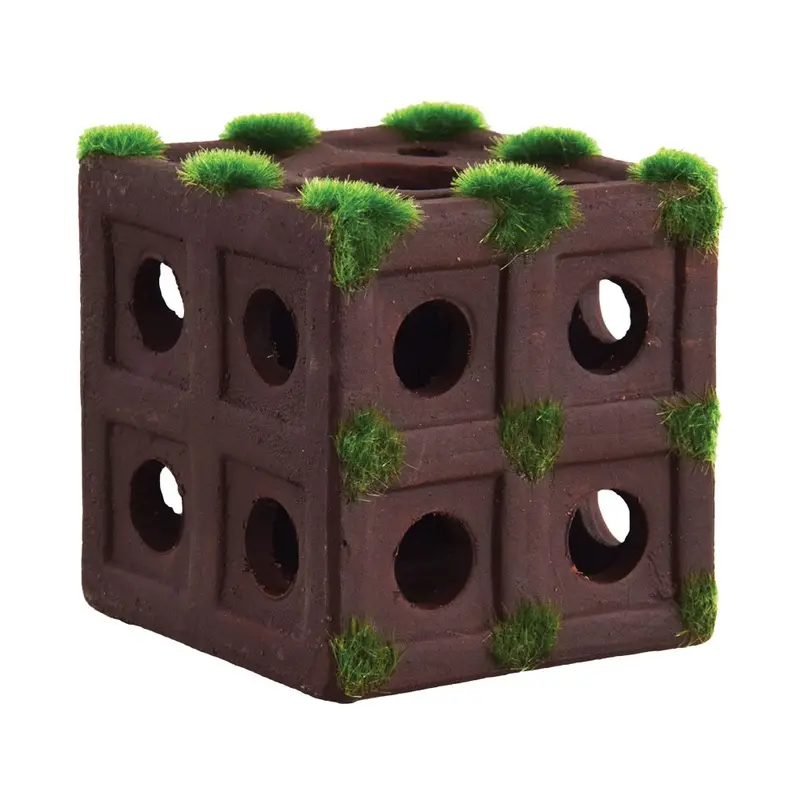 Underwater Treasures - Shrimp Cubes - 2.5 in.