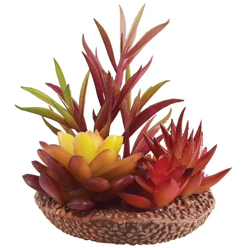 Underwater Treasures - Succulent - Flames