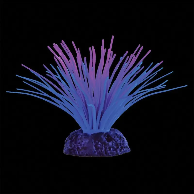 UT Aquarium Plant - Sea Anemone - Purple/Blue