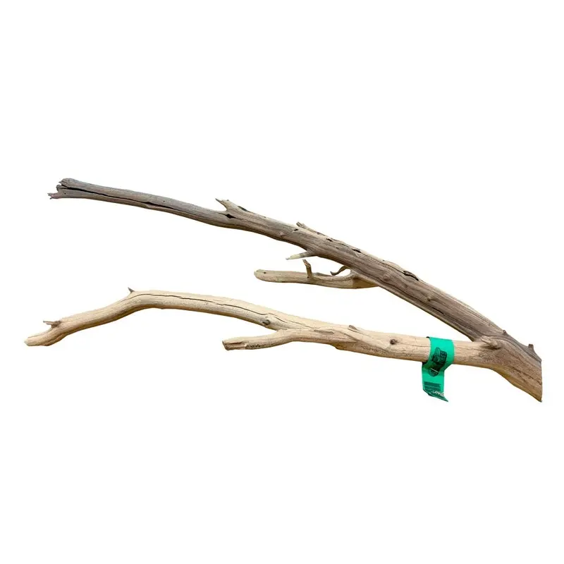 Sublime Vine - Showpiece Ghost wood