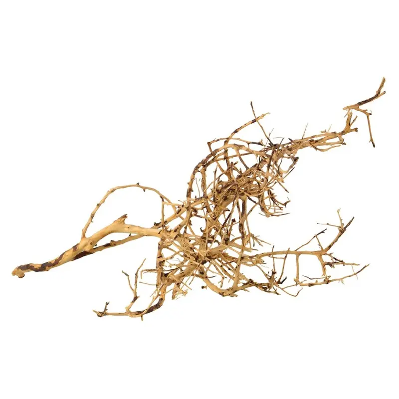 Underwater Treasures - Bird Nest Wood Sm