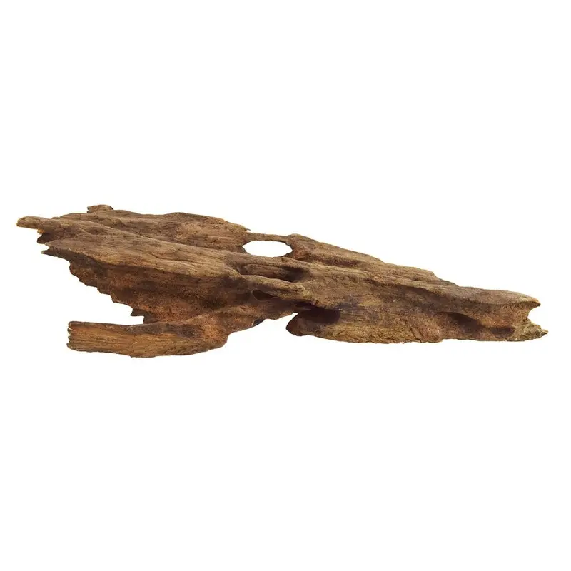 Underwater Treasures - Honeycomb Wood Md