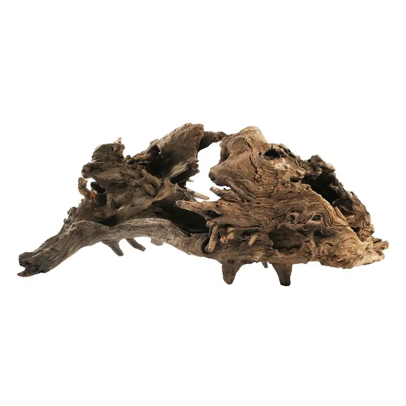Underwater Treasures - Kapas Root Lg