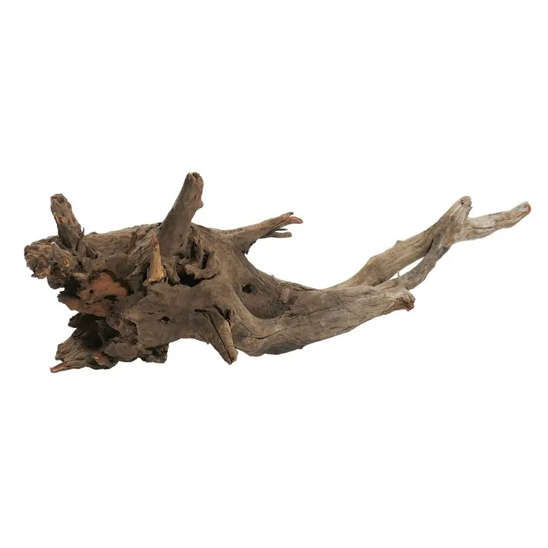 Underwater Treasures - Kapas Root XL
