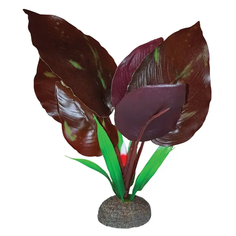 Fluval - Betta Red Lizard Plant - 6 in.